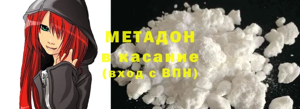 хмурый Аркадак