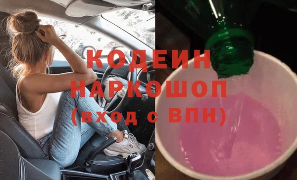 хмурый Аркадак