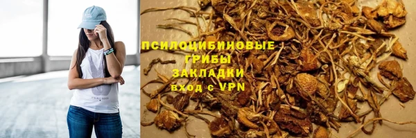 хмурый Алексеевка