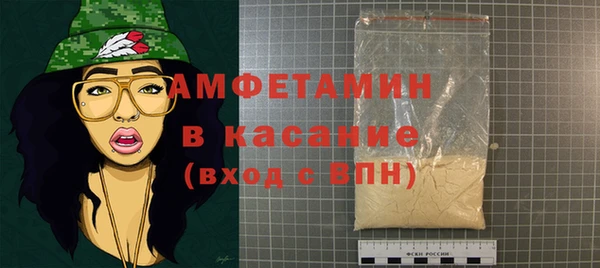 хмурый Аркадак